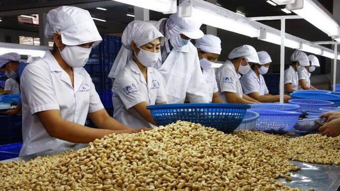Xuất khẩu điều tăng mạnh gần 60% trong tháng 3