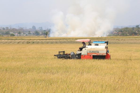 Tìm “lối đi riêng” cho phát triển nông nghiệp bền vững