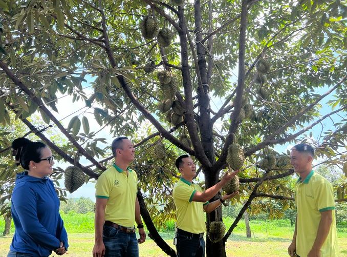 Quả ngọt từ sản xuất xanh, sản phẩm sạch