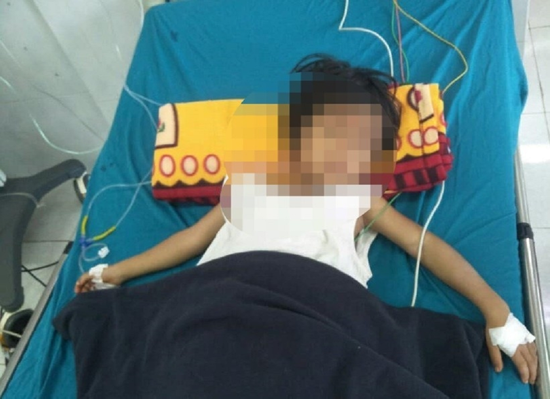 Tự làm thịt con vật quen thuộc trong vườn nhà ăn, ba trẻ thương vong