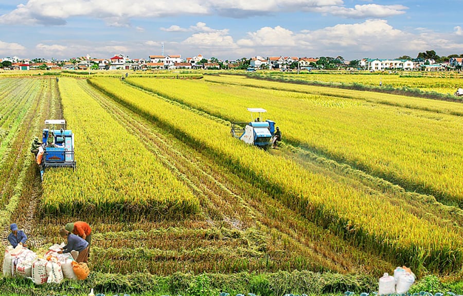 Từ 1/7/2024: Người đáp ứng đủ 2 điều kiện này có thể chuyển đổi đất nông nghiệp sang đất ở, đó là ai?