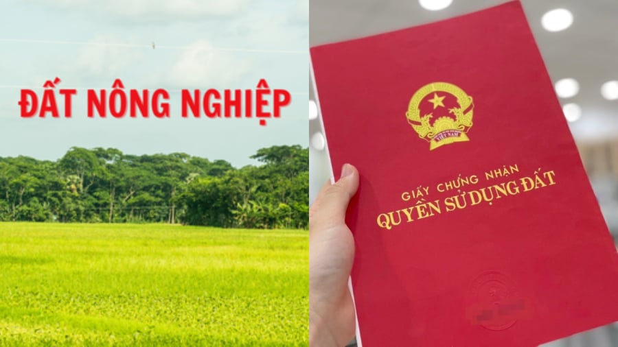 Từ 1/7/2024: Trường hợp có giấy tờ này xây nhà trên đất nông nghiệp không bị xử phạt